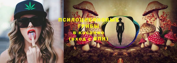амф Алексеевка